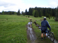 /album/historie/20090515-17-bsp-hojna-voda-112-jpg/